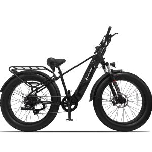 Aggressor M