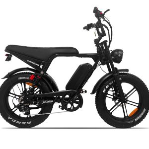 Conquer Your City with the Warrior E-Bike